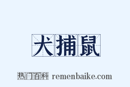 犬捕鼠是什么意思的图片